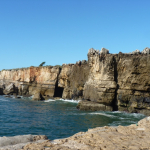 P1080109-w740_h555